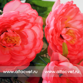 искусственные цветы камелия цвета розовый 5