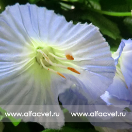 искусственные цветы куст (вьющийся) цвета синий 12