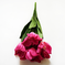 искусственные цветы орхидеи цвета малиновый 11