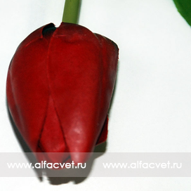 искусственные цветы тюльпан цвета красный 4