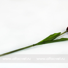 искусственные цветы тюльпан цвета красный 4